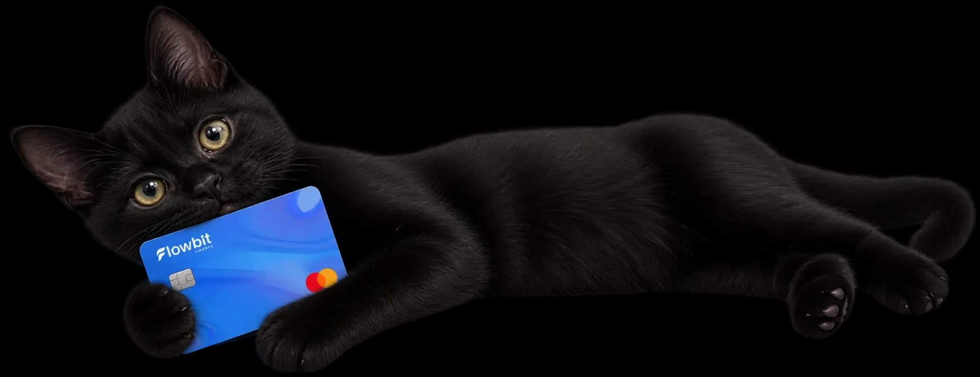 A black cat with a Flowbit card