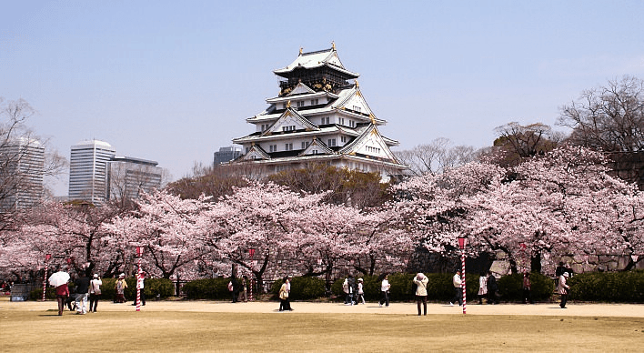 Money and Payments in Osaka: How to Avoid Overpaying on Exchange While Traveling